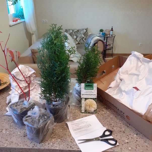 превью изображения отзыва