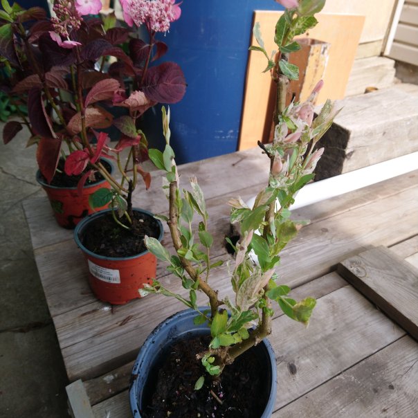 превью изображения отзыва