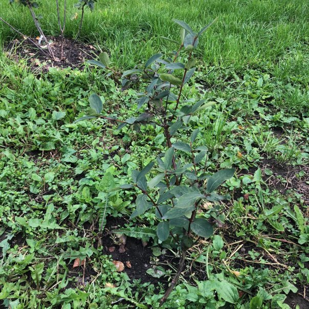 превью изображения отзыва