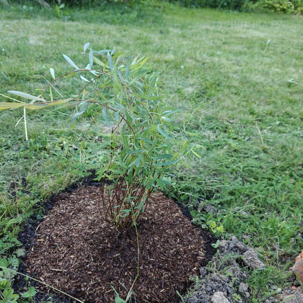 превью изображения отзыва