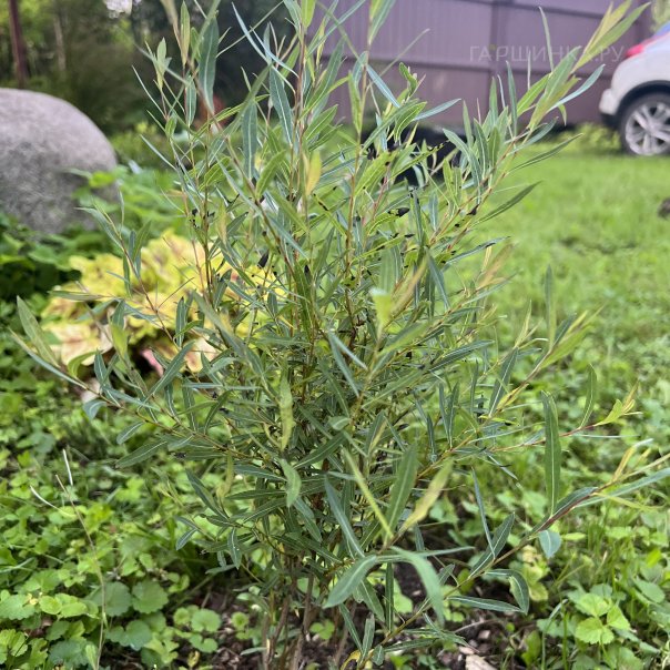 превью изображения отзыва