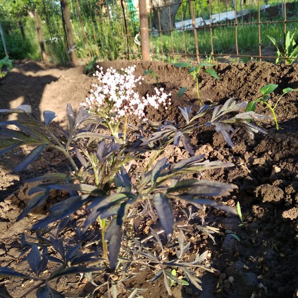 превью изображения отзыва