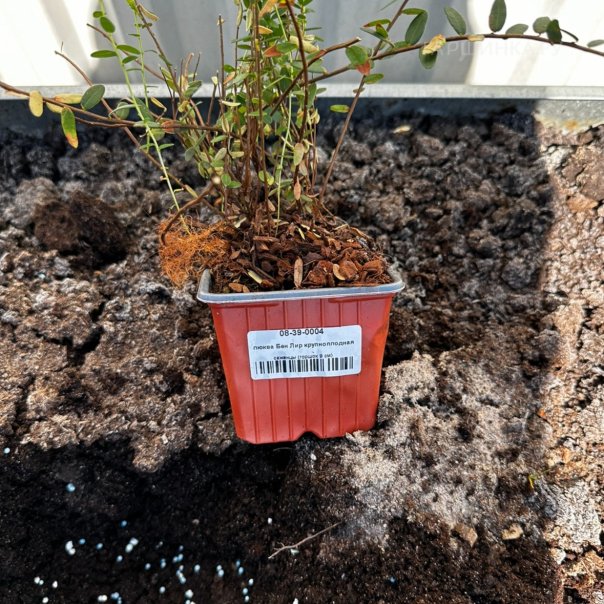 превью изображения отзыва