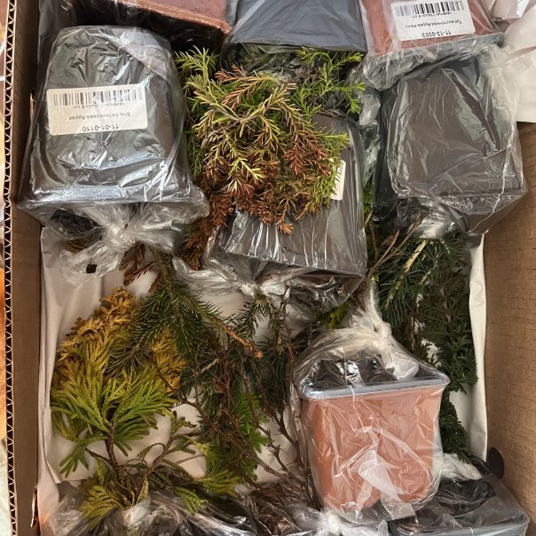 превью изображения отзыва