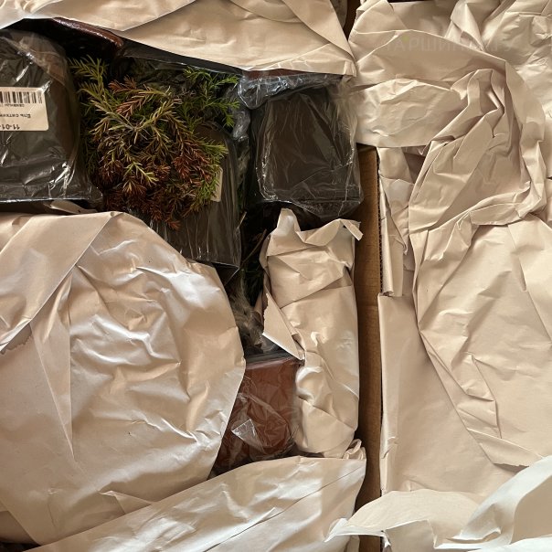 превью изображения отзыва