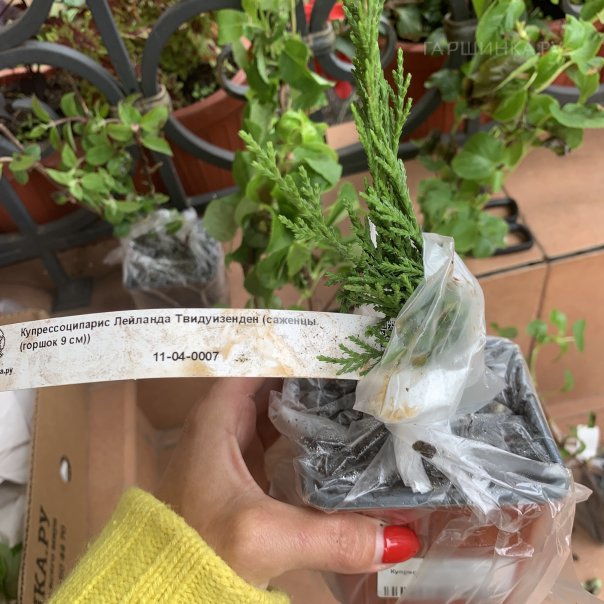 превью изображения отзыва