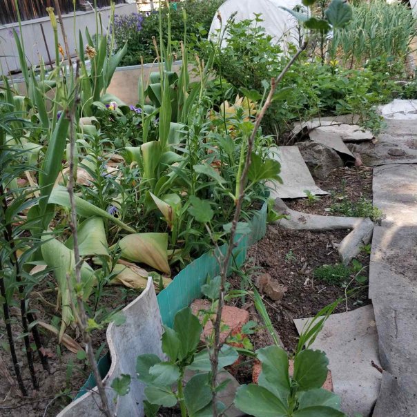 превью изображения отзыва