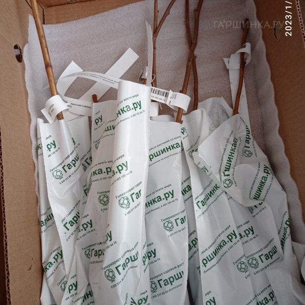 превью изображения отзыва