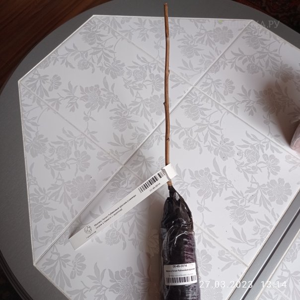 превью изображения отзыва