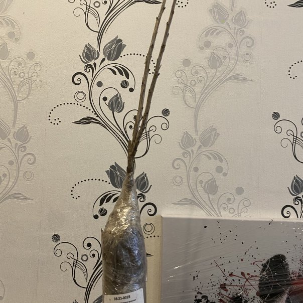 превью изображения отзыва