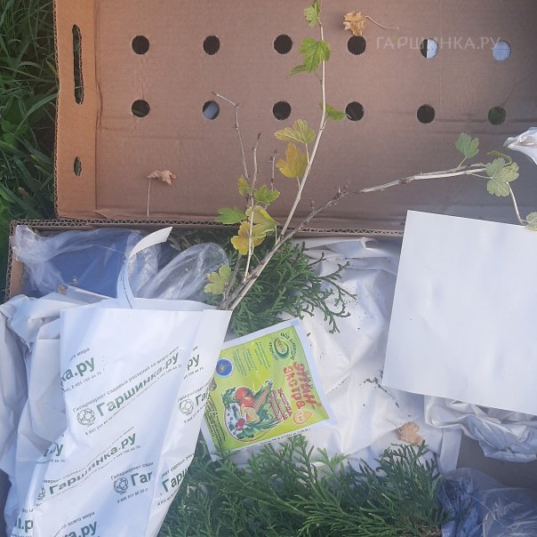 превью изображения отзыва