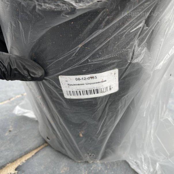 превью изображения отзыва