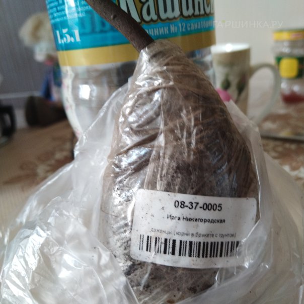 превью изображения отзыва