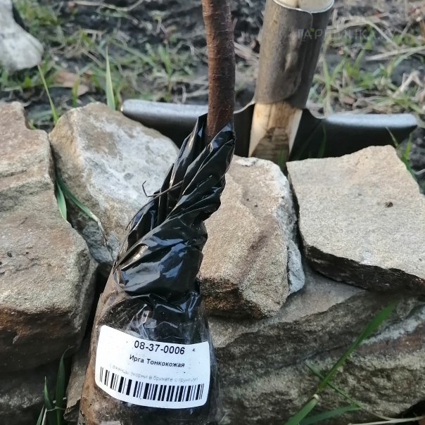 превью изображения отзыва