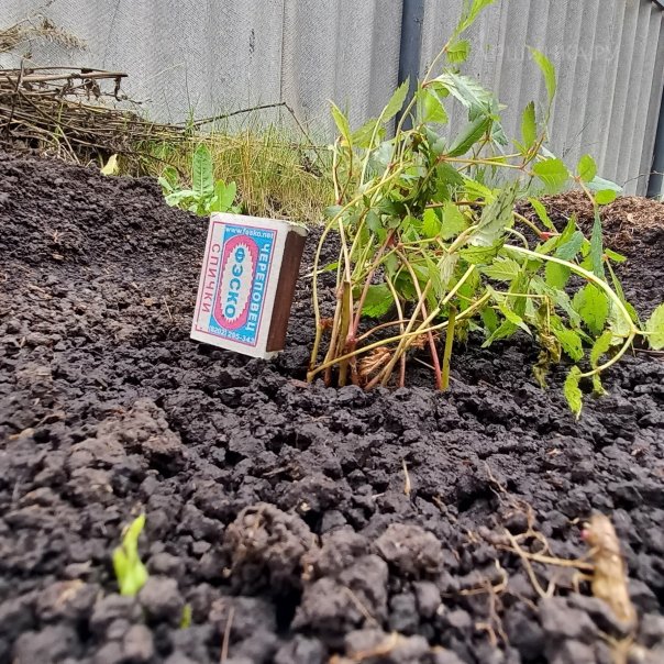 превью изображения отзыва