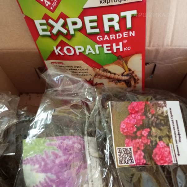 превью изображения отзыва