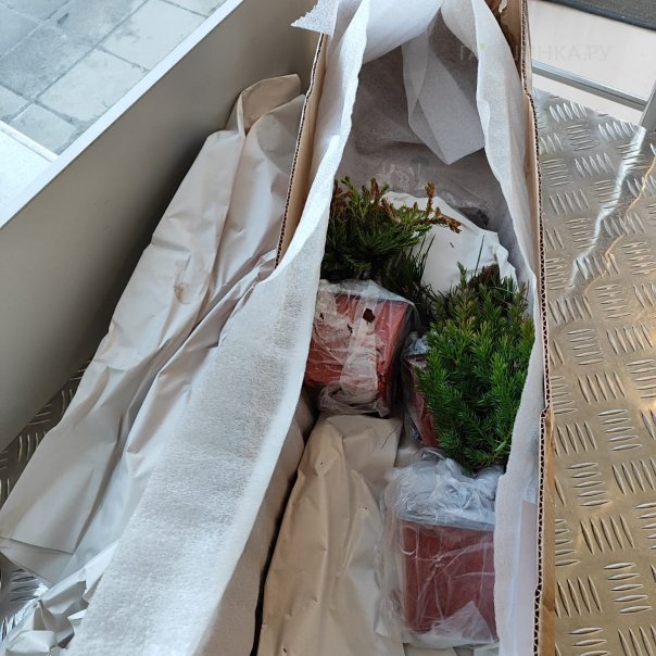 превью изображения отзыва