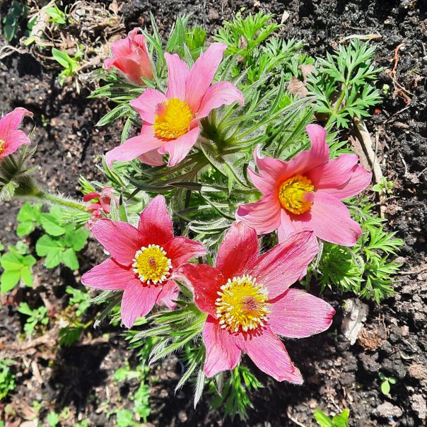 превью изображения отзыва