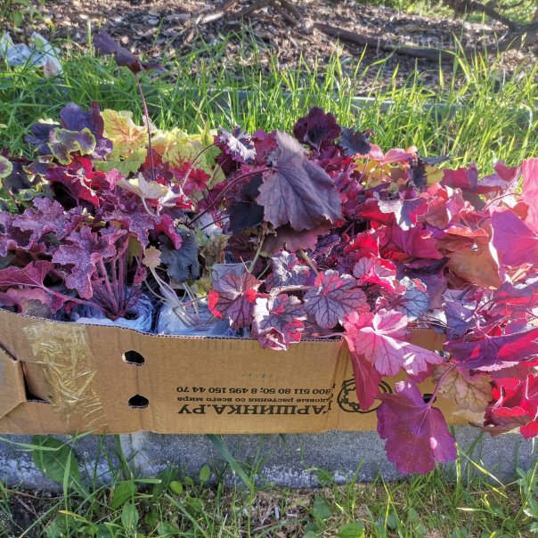 превью изображения отзыва