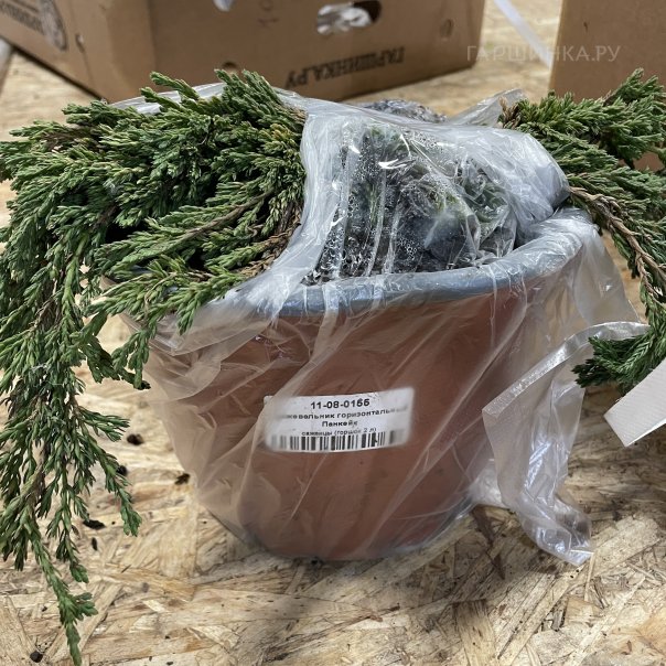 превью изображения отзыва