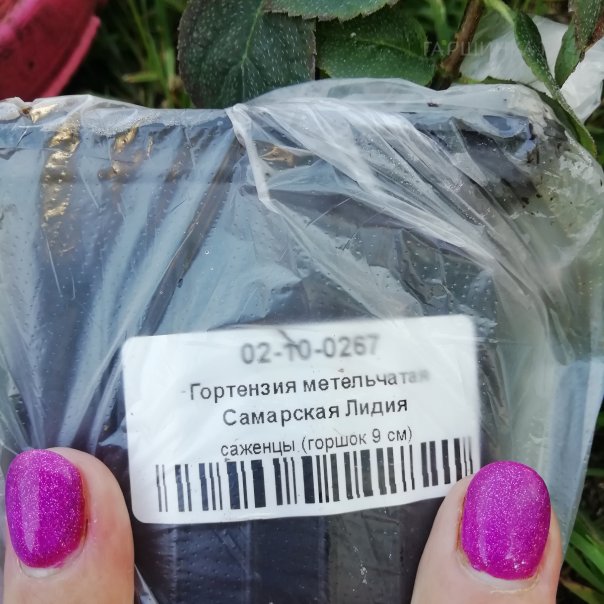 превью изображения отзыва