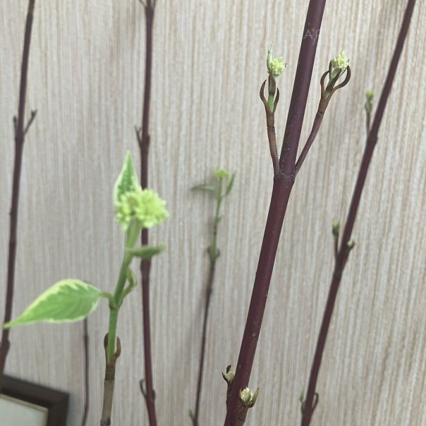 превью изображения отзыва