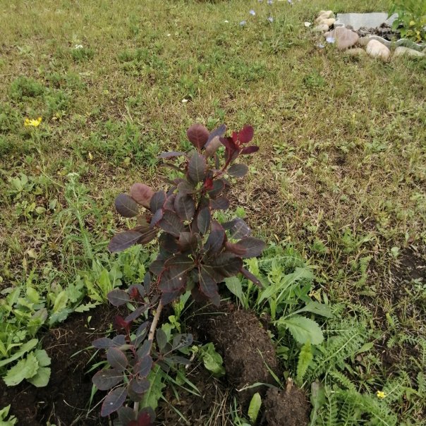 превью изображения отзыва