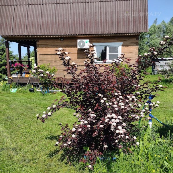 превью изображения отзыва