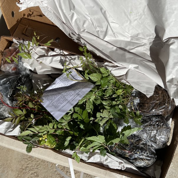 превью изображения отзыва