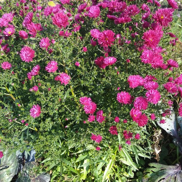 превью изображения отзыва