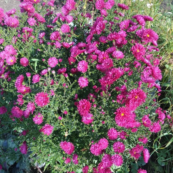 превью изображения отзыва