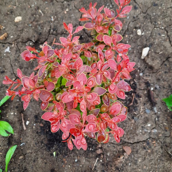 превью изображения отзыва