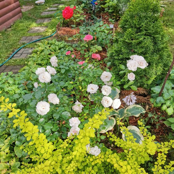 превью изображения отзыва