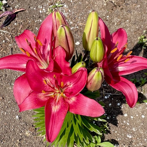 превью изображения отзыва