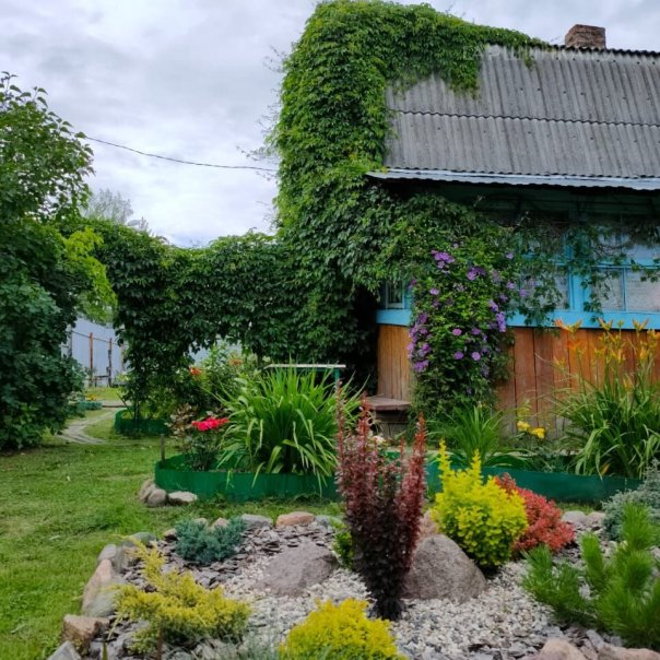 превью изображения отзыва