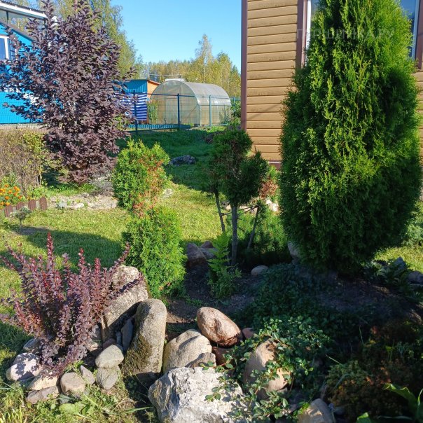 превью изображения отзыва