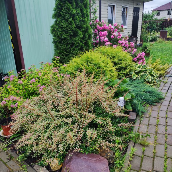 превью изображения отзыва