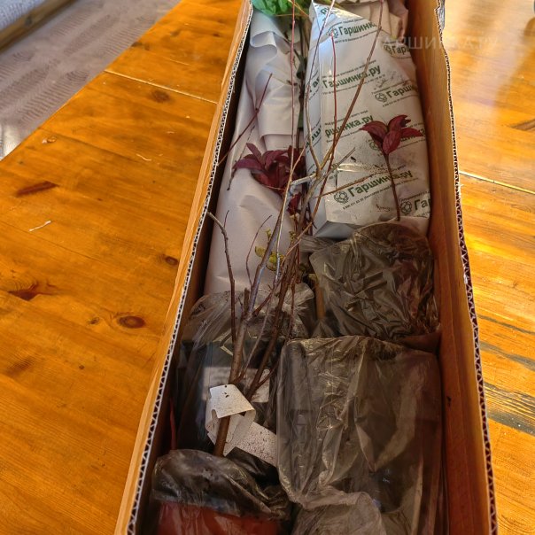 превью изображения отзыва