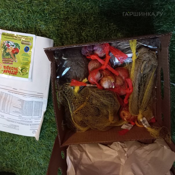 превью изображения отзыва