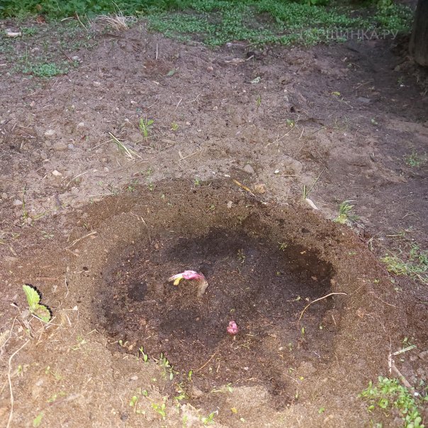 превью изображения отзыва