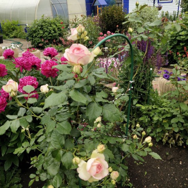 превью изображения отзыва