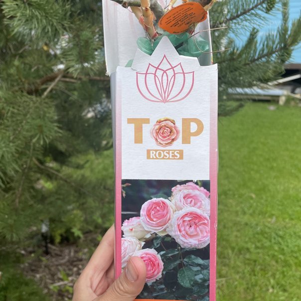 превью изображения отзыва