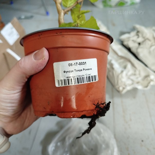 превью изображения отзыва