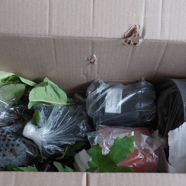 превью изображения отзыва