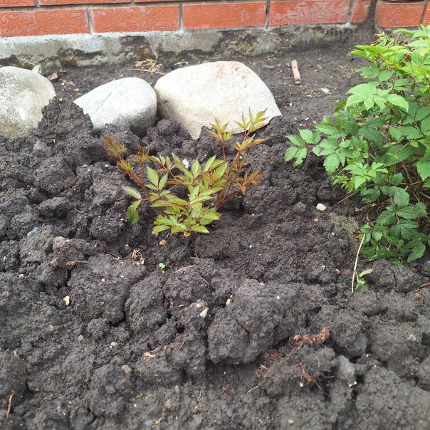 превью изображения отзыва