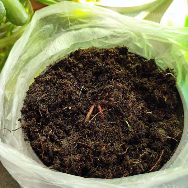 превью изображения отзыва