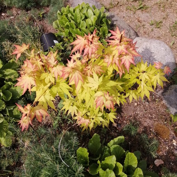 превью изображения отзыва