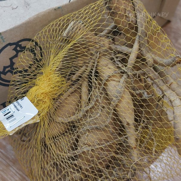 превью изображения отзыва