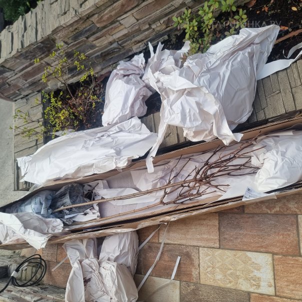 превью изображения отзыва