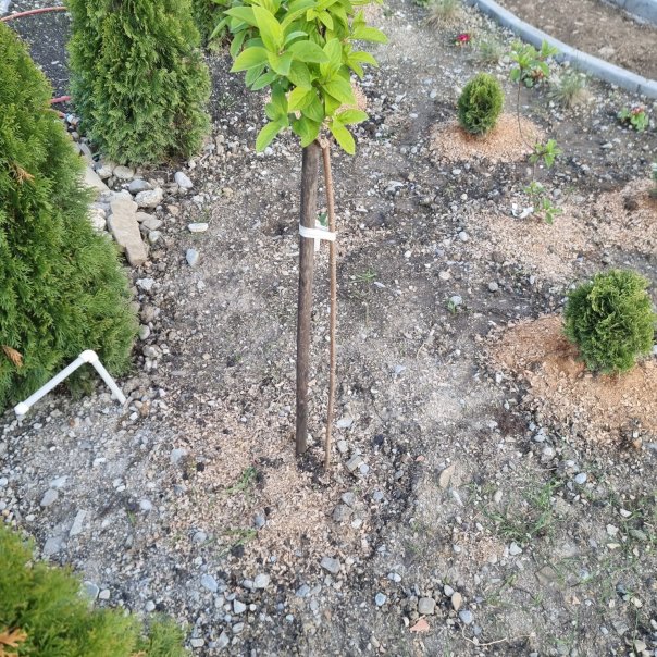 превью изображения отзыва